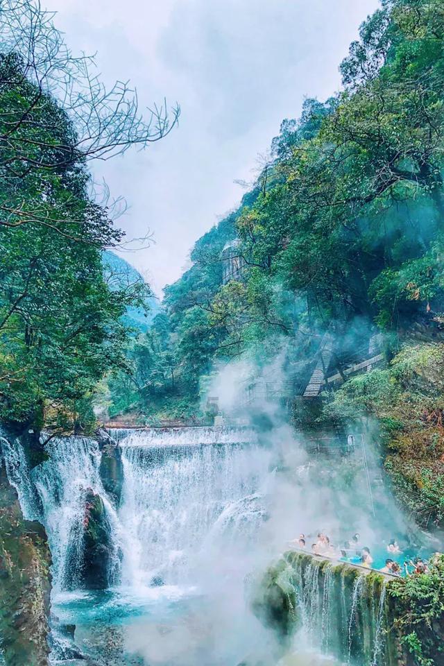 卡通骆驼救援